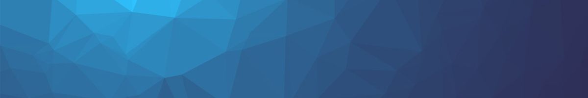 Randi Mcnutt